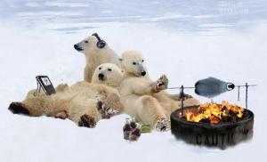 polar-bears-roasting-penguin