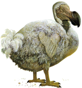 Don't future generations deserve to see more than stuffed climate alarmists like this dodo?