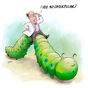 I _see_no_caterpillar_scr